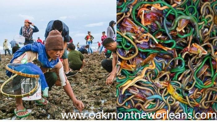Menjelajahi Budaya Lombok Liburan Sambil Mengenal Tradisi Suku Sasak