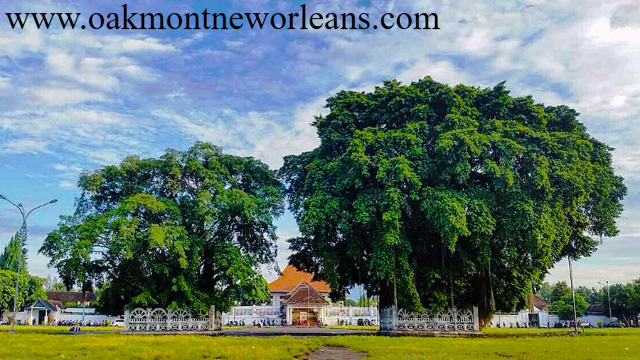 Menyelami Pesona Alun-Alun Kidul Yogyakarta yang Penuh Mitos